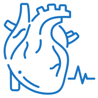 Cardiology