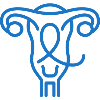 Gynecology