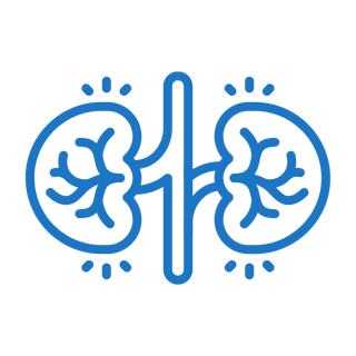 Nephrology