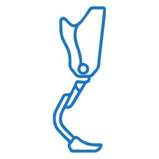 Orthopedics
